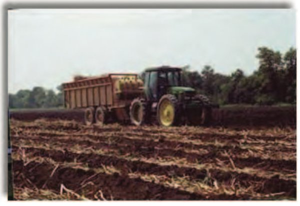 Planting - Louisianna Sugarcane Production