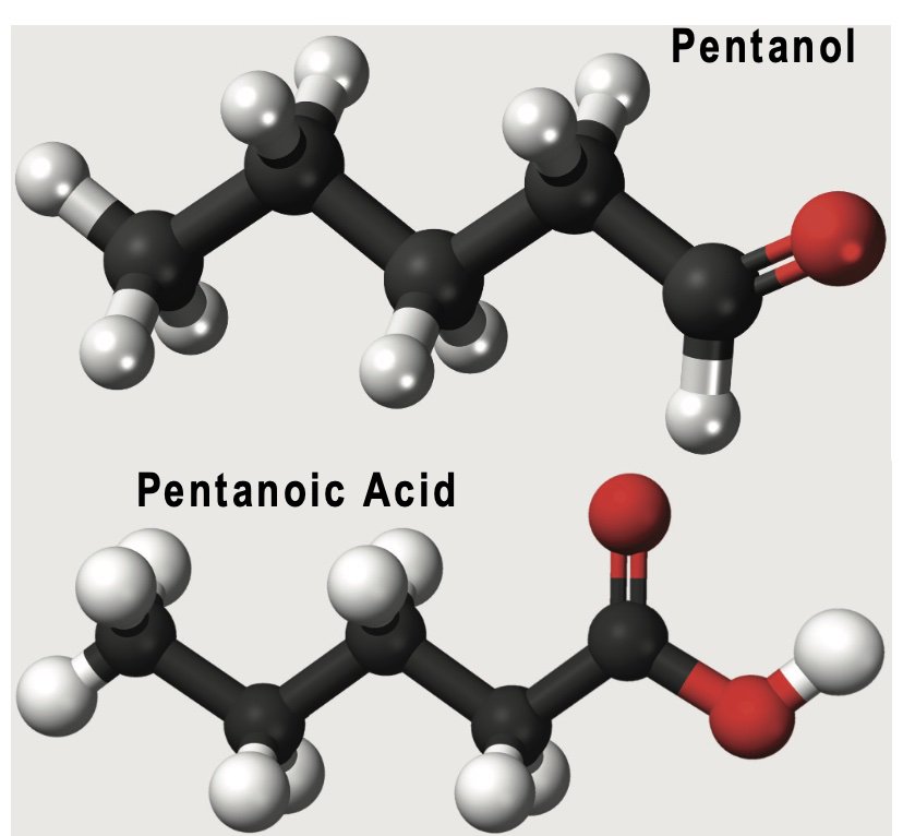 Pentanol2.jpg