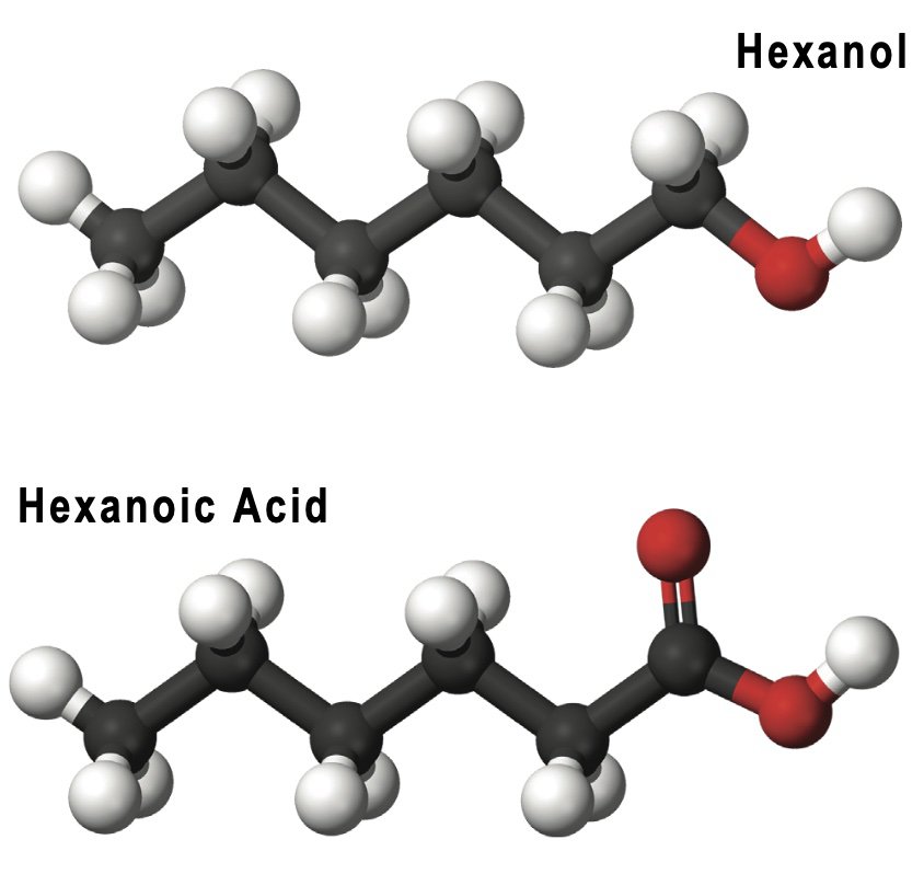 Hexanol2.jpg