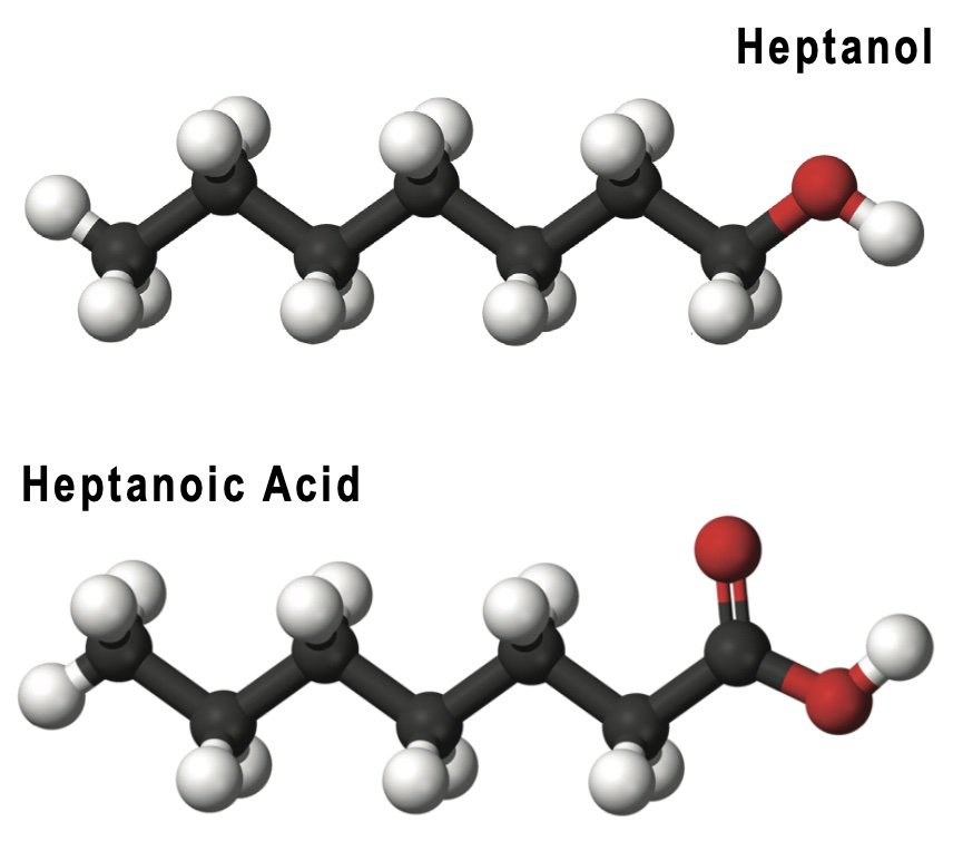 Heptanol 3.jpg
