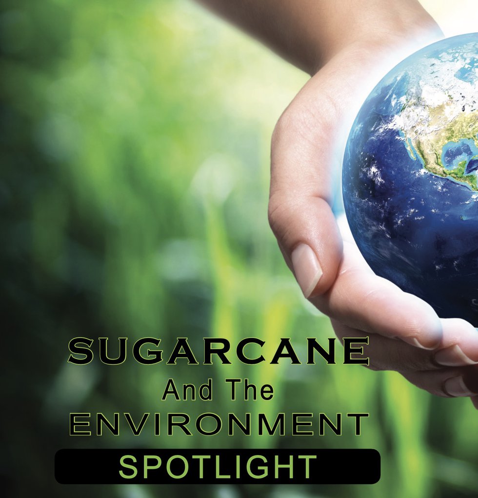 Sugarcane and the Environment Spotlight.jpg