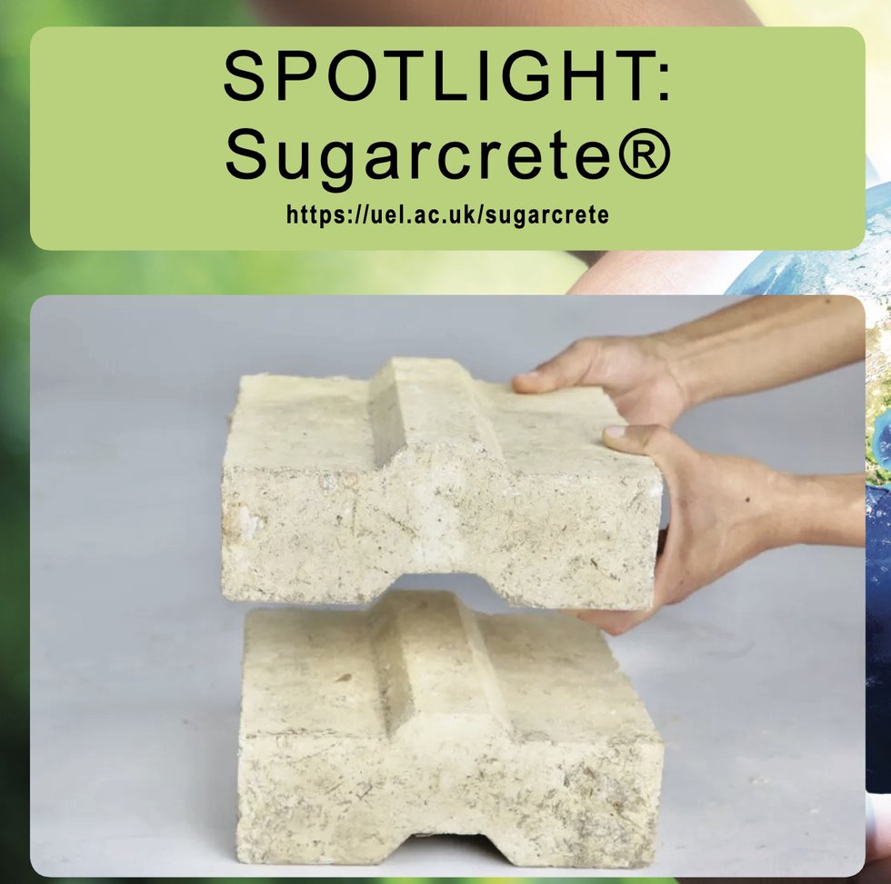 Spotlight Sugarcrete.jpg