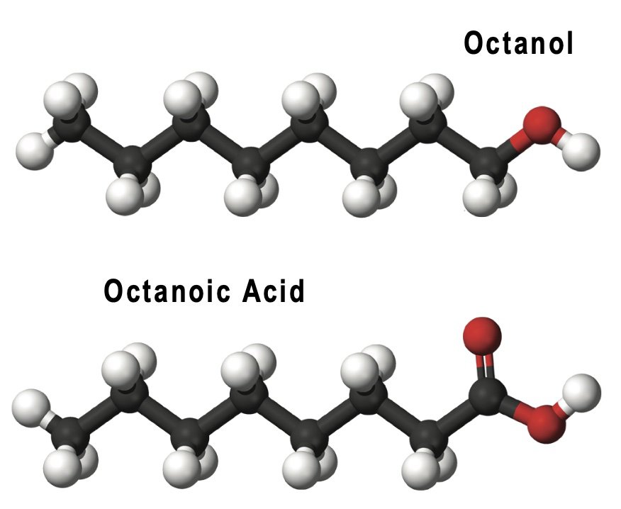 Octanoic Acid.jpg