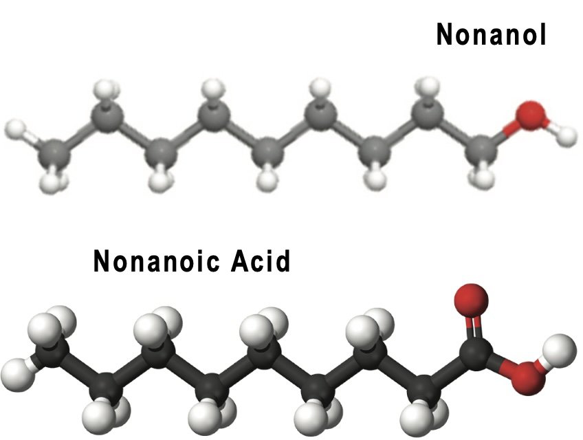 Nonanol4.jpg